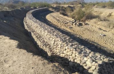 تأهيل ساقية