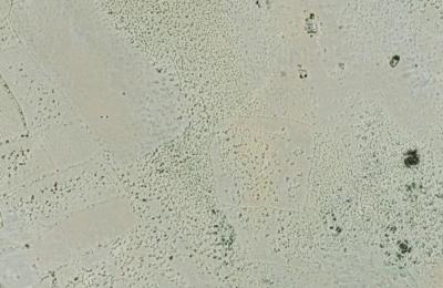 بلك 8 اراضي بمخطط م رضوم شبوة